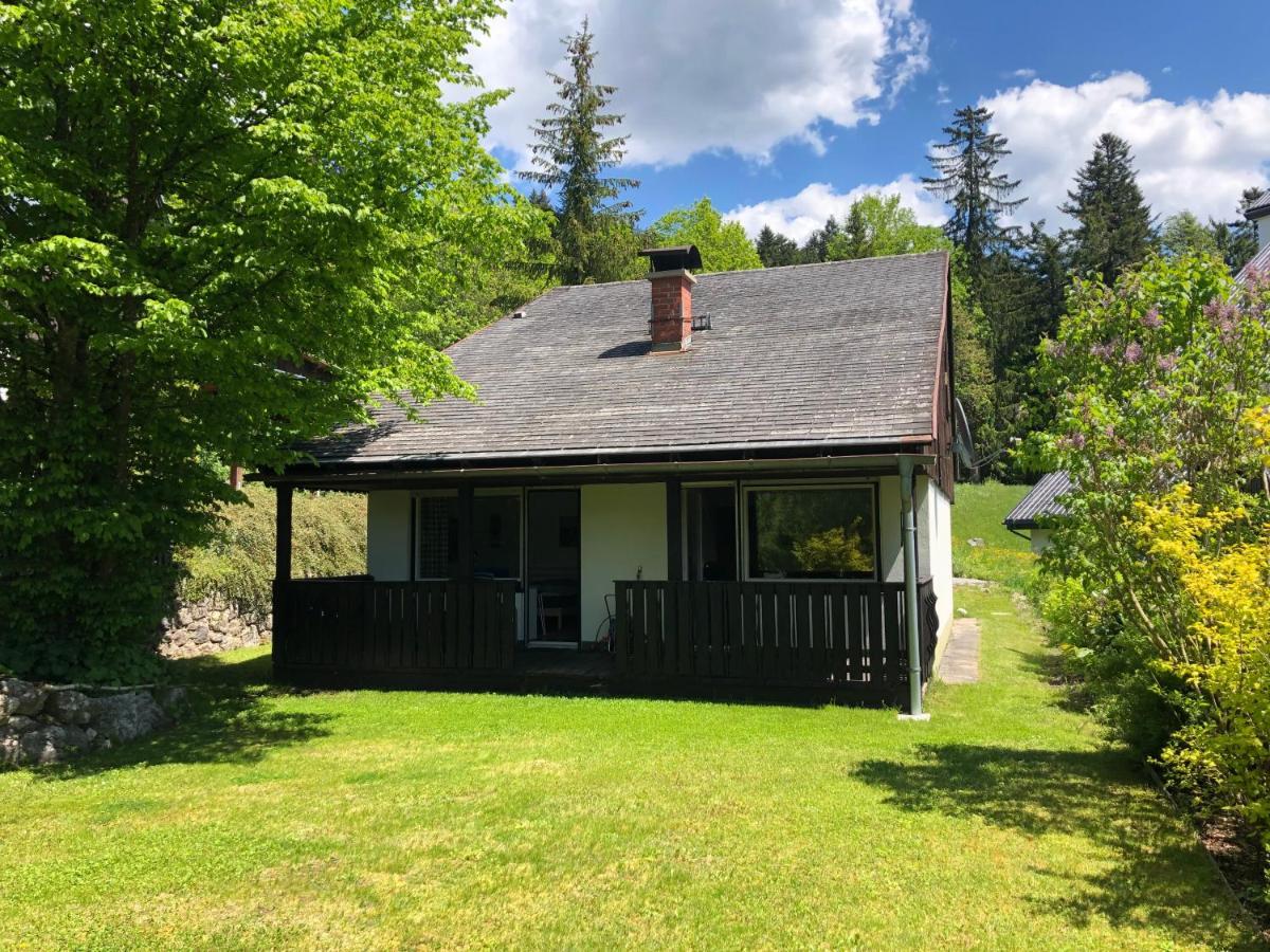 Haus Max Βίλα Bad Mitterndorf Εξωτερικό φωτογραφία