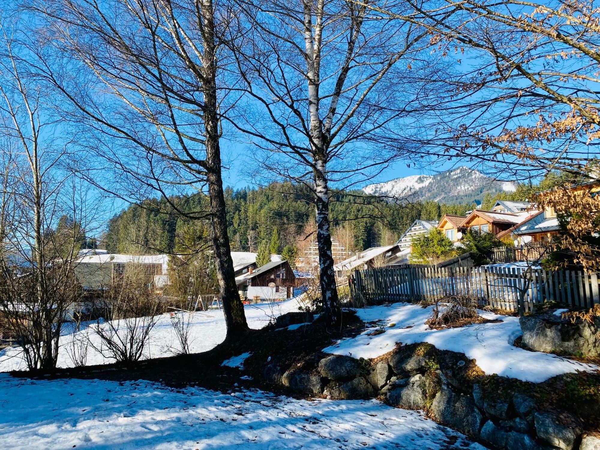 Haus Max Βίλα Bad Mitterndorf Εξωτερικό φωτογραφία